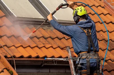 Démoussage et hydrofuge de toiture à Pradinas